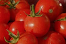FOOD Gallery