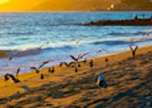 NATURE: LANDSCAPE Gallery